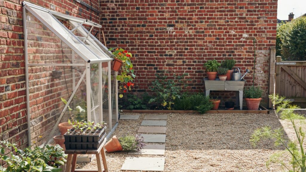 Lean-to greenhouse against a wall in a small UK garden.
