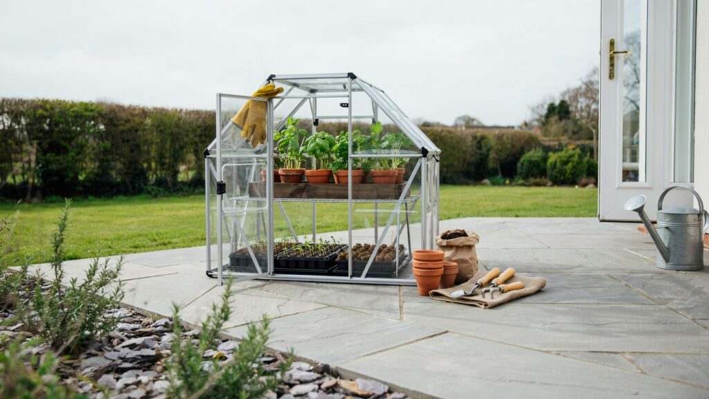 Mini greenhouse on a small patio with herbs and seed trays.